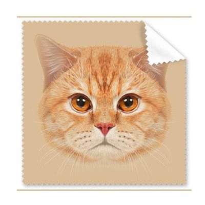 Cat Eyes Ears Lifelike Art Deco Gift Fashion Cleaning Cloth Phone Screen Glasses Cleaner 5pcs