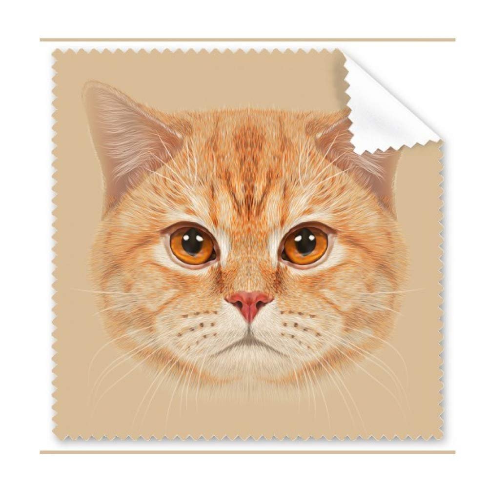 Cat Eyes Ears Lifelike Art Deco Gift Fashion Cleaning Cloth Phone Screen Glasses Cleaner 5pcs