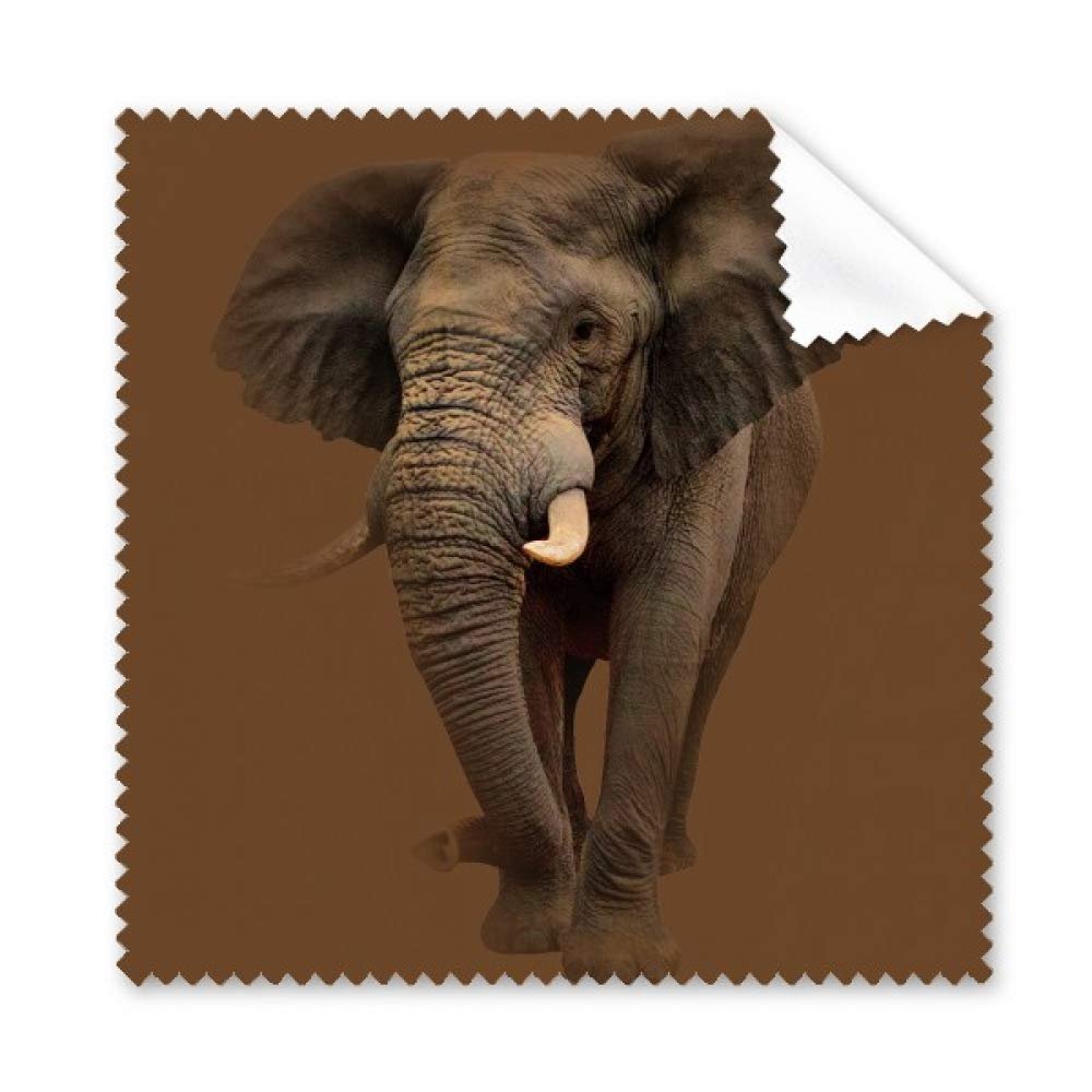 Elephant Teeth Independent Feet Cleaning Cloth Phone Screen Glasses Cleaner 5pcs