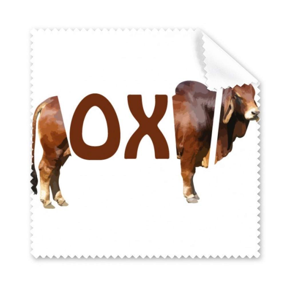 Beef-Based Food Standing Art Deco Gift Fashion Cleaning Cloth Phone Screen Glasses Cleaner 5pcs