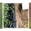 Ground Leaf Lotus Lake Cleaning Cloth Phone Screen Glasses Cleaner 5pcs view 1