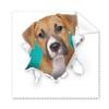 Animal Paper Break Shocks Dogs Cleaning Cloth Phone Screen Glasses Cleaner 5pcs view 1