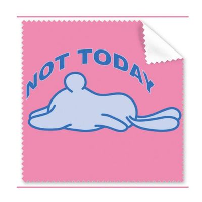 Animal Lies Rest Art Deco Gift Fashion Cleaning Cloth Phone Screen Glasses Cleaner 5pcs