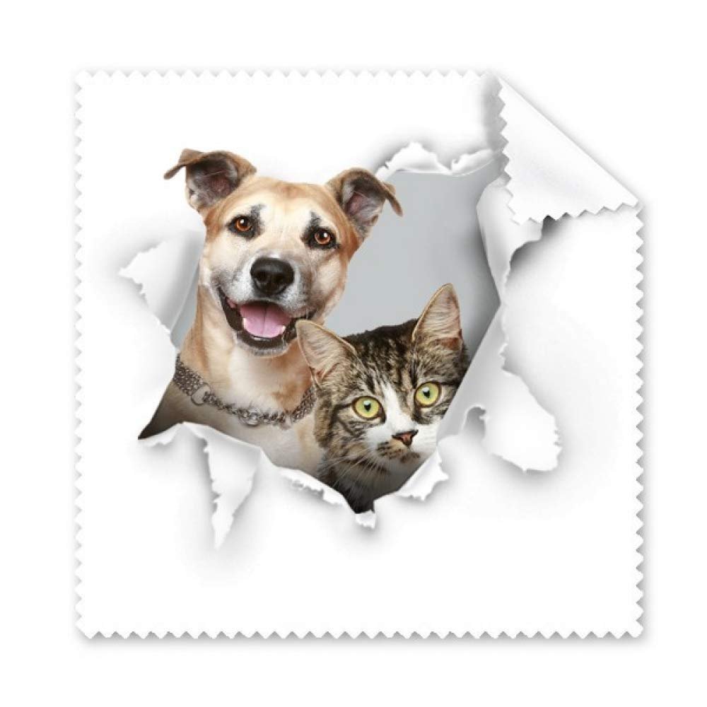 Animal Paper Break Shock Photo Cleaning Cloth Phone Screen Glasses Cleaner 5pcs