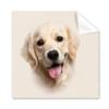 Dog Golden Fur Tongue Art Deco Gift Fashion Cleaning Cloth Phone Screen Glasses Cleaner 5pcs view 1