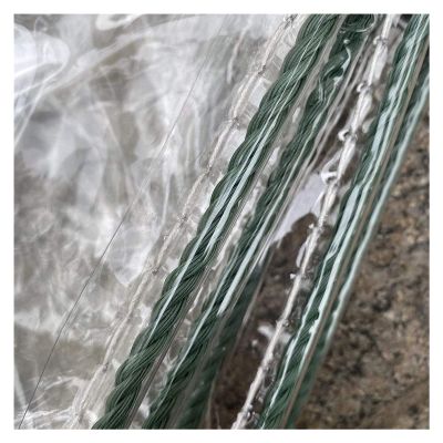 ZHANGQINGXIU Plant Covers, Transparent PVC Tarpaulin, Waterproof Tarpaulin with Eyelets, Rainproof Curtain (400 G/M), Adjustable (Color : Clear, Size : 2x2m)