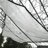 ZHANGQINGXIU Tarpaulin Fabric Tarpaulin Cover Tarpaulin Waterproof Heavy Duty Clear Glass Canopy Bird Proof Windshield Tool Garden Rainproof Soft Plastic Film, 23 Sizes (Color : Clear, Size : 3x4m) view 3