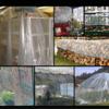 ZHANGQINGXIU Tarpaulin Fabric Tarpaulin Cover Tarpaulin Waterproof Windproof Heavy Duty Clear PVC Plant Cover Garden Awning Protection Pavilion Sunscreen Bottom Sheet Cover, 32 Sizes view 4
