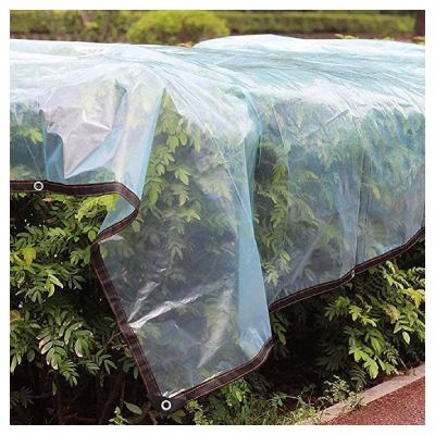 ZHANGQINGXIU Tarpaulin Fabric Tarpaulin Covering Tarpaulin Waterproof Heavy Duty Weather Resistant Tarps with Eyelets Outdoor Fishing Camping Ground Cover, 41 Sizes (Color : Clear, Size : 1.8x2m)