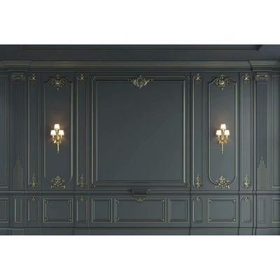 shensu Vinyl 7x5ft European Door Modern Wall Photography Background Decorated Vintage Room Interior Design Photography Backdrop for Men Women Adults Portrait Photoshoot Photo Booth Studio Props