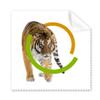 Feline Tiger Ring Ferocious Cleaning Cloth Phone Screen Glasses Cleaner 5pcs view 1