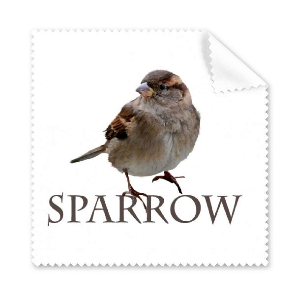 Food Side Body Sparrows Birds Cleaning Cloth Phone Screen Glasses Cleaner 5pcs