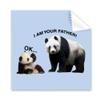 Father Care Panda Child Art Deco Gift Fashion Cleaning Cloth Phone Screen Glasses Cleaner 5pcs view 1