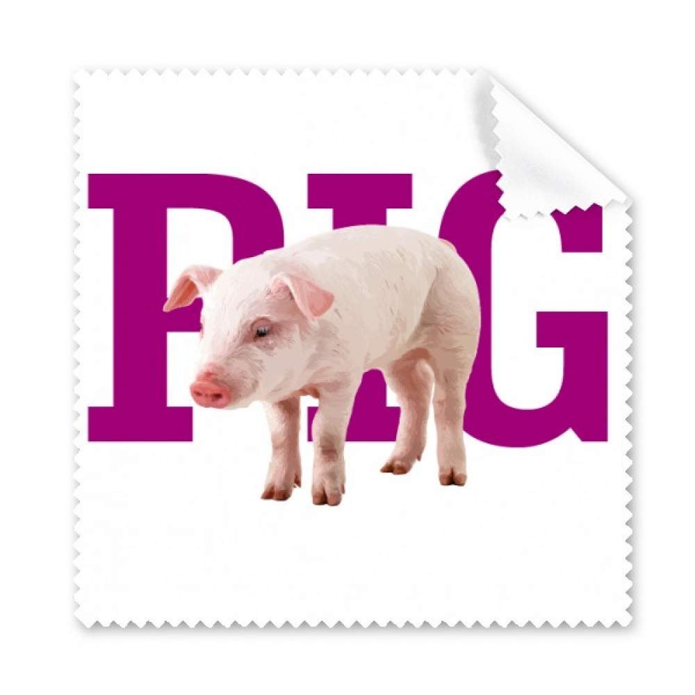 Fashion Food Meat Art Deco Gift Fashion Cleaning Cloth Phone Screen Glasses Cleaner 5pcs