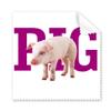 Fashion Food Meat Art Deco Gift Fashion Cleaning Cloth Phone Screen Glasses Cleaner 5pcs view 1