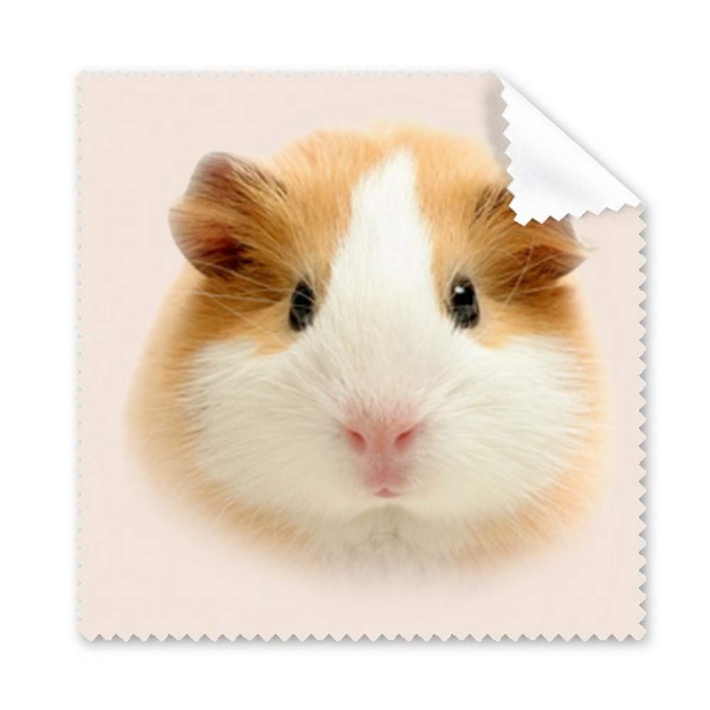Hamster Pet Brown Hair Art Deco Gift Fashion Cleaning Cloth Phone Screen Glasses Cleaner 5pcs