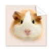Hamster Pet Brown Hair Art Deco Gift Fashion Cleaning Cloth Phone Screen Glasses Cleaner 5pcs view 1