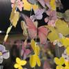 5m (16ft) Pastel 3D Butterfly Chandelier | Wire Hanging Decoration | Supplies for Kid's Birthday Party, Woodland Fairies Theme, Girls Bedroom Accessories view 2