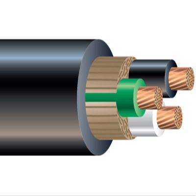 100' Nassau 12/3 SEOOW Portable Cable 600V Black