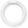 Feit Electric FC9/3CCT/LED Non Dimmable Indoor 9" LED Circline Light Bulb; Warm White, Cool White Or Daylight With A Standard Light Switch; 1400 Lumens, 16 Watt Input Power, 25000 Life Hours, 120-277V view 1