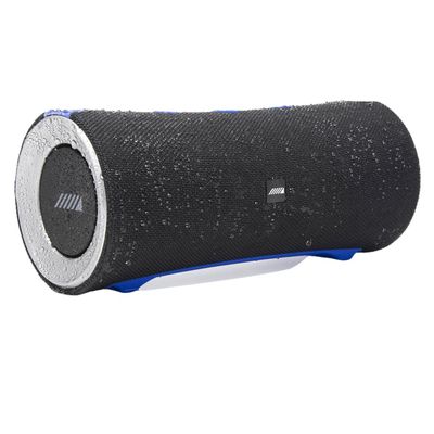 Alpine AD-SPK1PRO Turn1 Bluetooth Speaker & Roll Bar Mounting Bracket