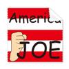 America President Person Biden Fist Flag Cleaning Cloth Phone Screen Glasses Cleaner 5pcs view 1