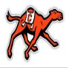 Campbell University Fighting Camels 6 Inch Vinyl Mascot Decal Sticker Officially Licensed Collegiate Product view 1