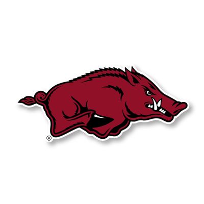 Arkansas Razorbacks 8 Inch Vinyl Mascot Decal Sticker Officially Licensed Collegiate Product