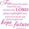 Decaltor Pink 17" x 16" for I Know The Plans I Have for You declares The Lord Jeremiah 29:11 Quotes Sayings Words Art Decor Lettering Vinyl Wall Art Inspirational Uplifting Bible view 1