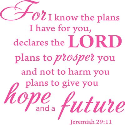 Decaltor Pink 15" x14" for I Know The Plans I Have for You declares The Lord Jeremiah 29:11 Quotes Sayings Words Art Decor Lettering Vinyl Wall Art Inspirational Uplifting Bible