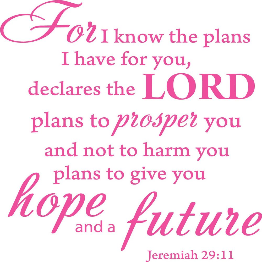 Decaltor Pink 15" x14" for I Know The Plans I Have for You declares The Lord Jeremiah 29:11 Quotes Sayings Words Art Decor Lettering Vinyl Wall Art Inspirational Uplifting Bible