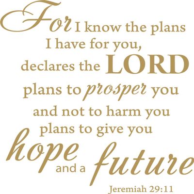 Decaltor Gold 15" x14" for I Know The Plans I Have for You declares The Lord Jeremiah 29:11 Quotes Sayings Words Art Decor Lettering Vinyl Wall Art Inspirational Uplifting Bible