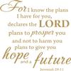 Decaltor Gold 15" x14" for I Know The Plans I Have for You declares The Lord Jeremiah 29:11 Quotes Sayings Words Art Decor Lettering Vinyl Wall Art Inspirational Uplifting Bible view 1