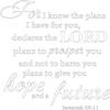 Decaltor Matte White 15" x14" for I Know The Plans I Have for You declares The Lord Jeremiah 29:11 Quotes Sayings Words Art Decor Lettering Vinyl Wall Art Inspirational Uplifting Bible view 1