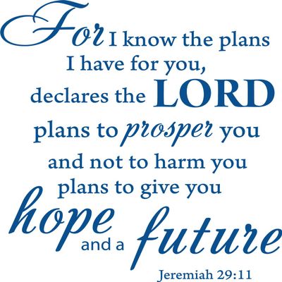 Decaltor Blue 20" x 18" for I Know The Plans I Have for You declares The Lord Jeremiah 29:11 Quotes Sayings Words Art Decor Lettering Vinyl Wall Art Inspirational Uplifting Bible