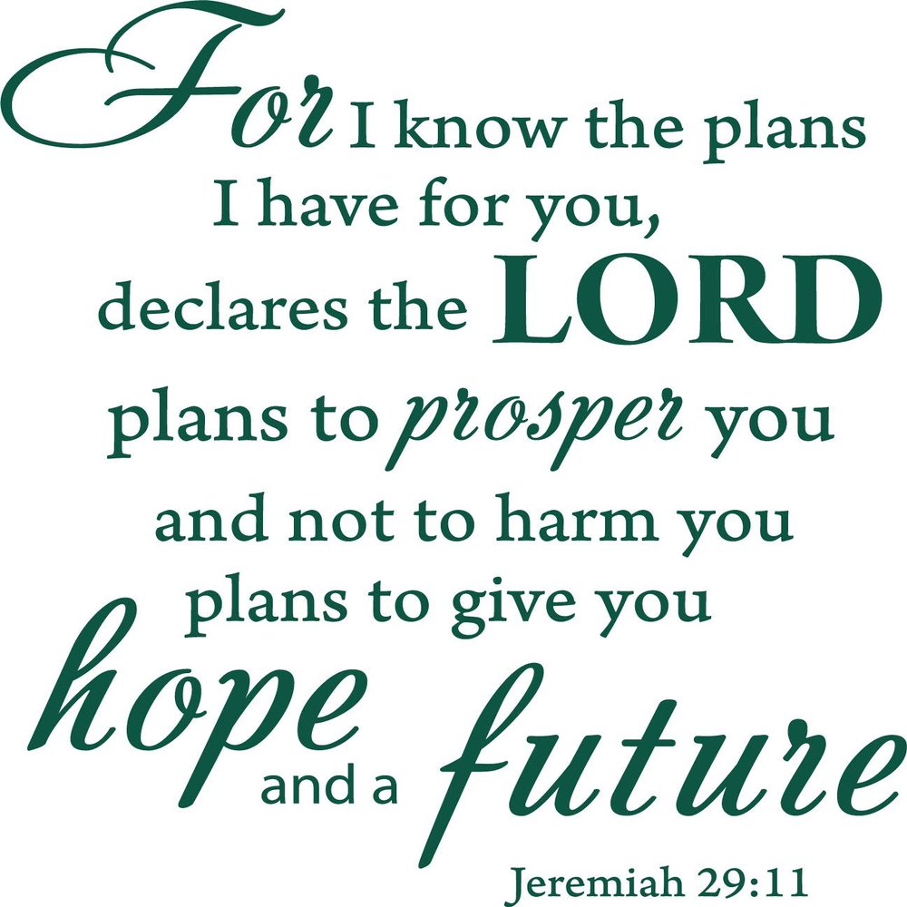 Decaltor Green 22" x 20" for I Know The Plans I Have for You declares The Lord Jeremiah 29:11 Quotes Sayings Words Art Decor Lettering Vinyl Wall Art Inspirational Uplifting Bible