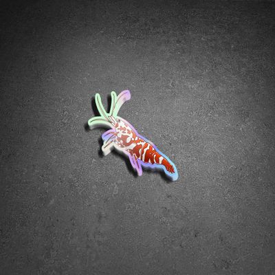 Caridina Tiger Sticker (2X)