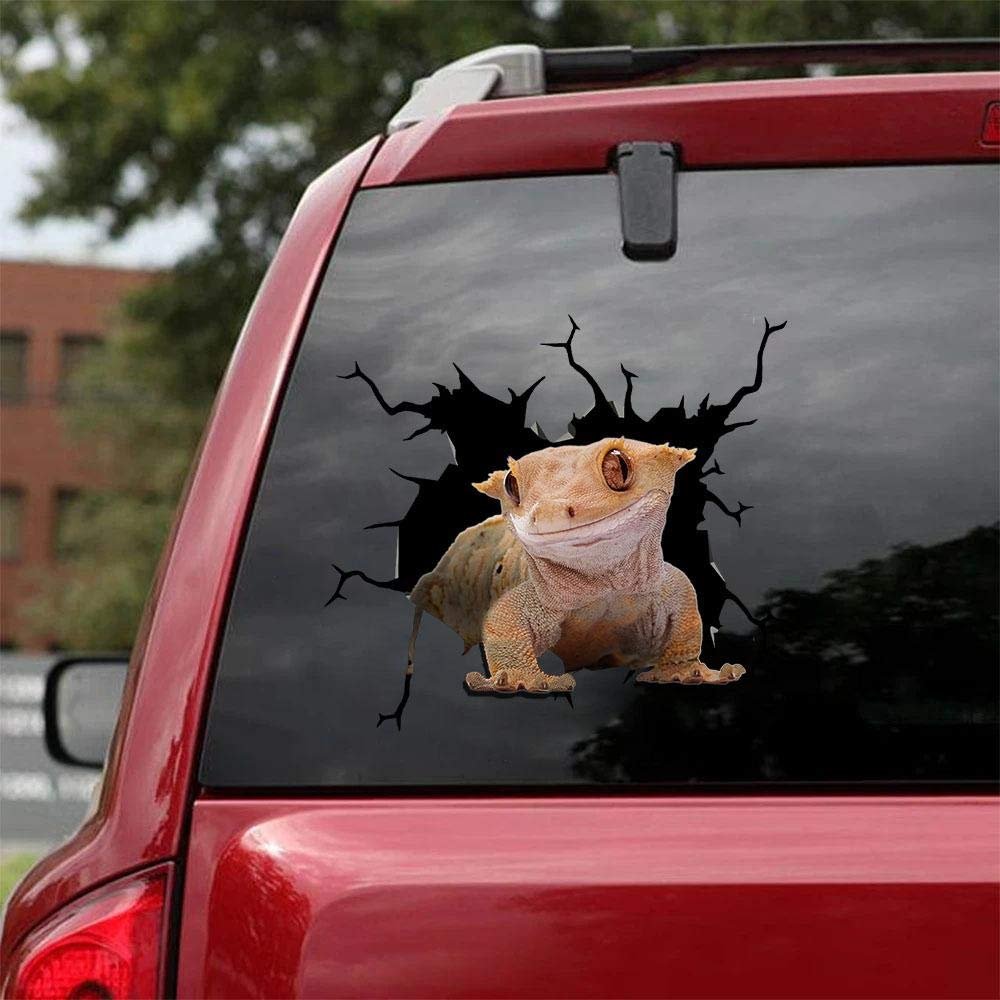 Ocean Gift Lizards Car Decals, Wall Decals Stickers Pack of 2 - Realistic Car Stickers Design Series 6 Size 8" x 8"