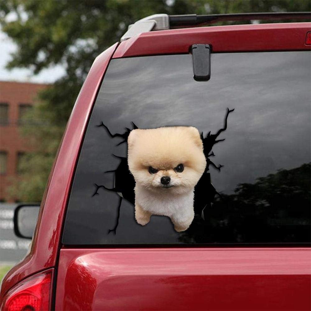 Ocean Gift Pomeranian Car Decals, Wall Decals Stickers Pack of 2 - Realistic Car Stickers Design Series 37 Size 12" x 12"