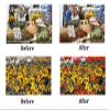 MEDOLONG Color Blindness Glasses for Men Color Blind Reading Glasses People See Color-CM8068L(C6,0) view 3
