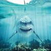 Haoyiyi 10x6.5ft Underwater Shark Backdrop Deep Under Sea Seabed World Great White Shark Aquarium Photography Background Baby Boy Birthday Celebration Theme Party Kid Diver Portrait Photo Studio Props view 4