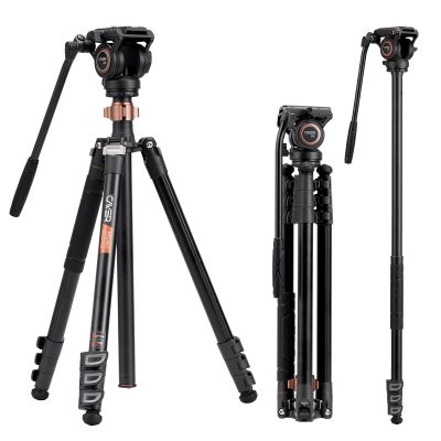 Cayer FP2450 Fluid Head Tripod, 75 inches Aluminium Video Tripod, 4-Section Compact Camera Tripod Monopod with Fluid Head for DSLR Camera, Camcorder, Load Capacity up to 13.2 Pounds