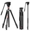 Cayer FP2450 Fluid Head Tripod, 75 inches Aluminium Video Tripod, 4-Section Compact Camera Tripod Monopod with Fluid Head for DSLR Camera, Camcorder, Load Capacity up to 13.2 Pounds view 1