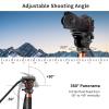 Cayer FP34 Monopod with Feet, 71 inch Aluminum Telescopic Camera Monopod with Fluid Head and 3-Leg Tripod Base for DSLR Video Cameras Camcorders, Supporting up to 13.2 lbs view 2
