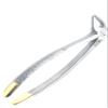 Extraction Forcep #13 English Pattern Gold view 2