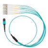 40G MPO(F) to 8xLC 50/125um OM3 Multimode Optical Fiber Cable for 40GBASE QSFP Transceiver Module 1M 3M 5M 7M 10M 15M 30M Female to Female (3m) view 2