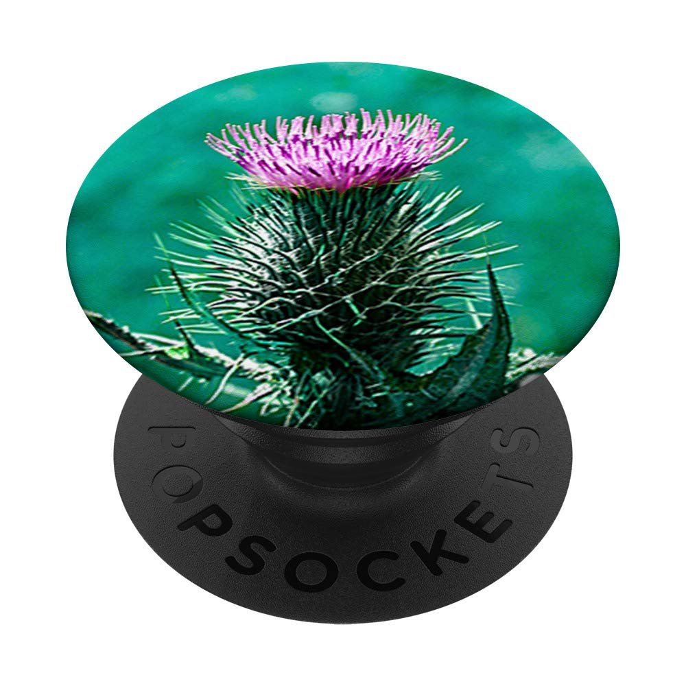 Pretty Scottish Thistle Flower Design Celtic Scotland Symbol PopSockets PopGrip: Swappable Grip for Phones & Tablets