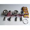 for YANMAR 4D106-1FA S4D106E S4D106 Piston and Ring and Full Gasket kit view 1