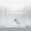 XINGLL Acrylic Display Case Showcase, Clear Water Tank Photography Shooting, Floating Creative Photo Props, Product Advertising Shooting, Deep Shallow Water Tank ( Color : Clear , Size : 80X60X5CM ) view 4