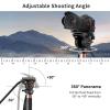 Cayer FP34 Video Monopod with Fluid Head, 71.2 inch Aluminum Monopod Tube with Feet, Supports 13.2 lbs, Ideal for DSLR Cameras, Camcorders, and Professional Video Shooting view 2